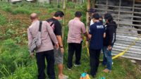 IMG-20250520-WA0036 (1)