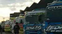 IMG-20250618-WA0029 (1)