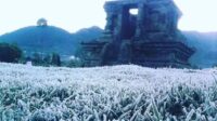 17521891000502803587764401082304 (1) Suhu di dataran tinggi dieng anjlok ke angka minus 2 derajat munculkan embu utas yang jadi tontonan wisatawan.
