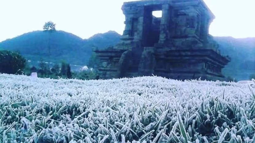 Suhu di dataran tinggi dieng anjlok ke angka minus 2 derajat munculkan embu utas yang jadi tontonan wisatawan.