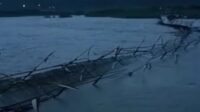 IMG-20250819-WA0038 (1)