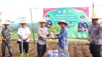 WhatsApp Image 2025-08-06 at 12.11.42 Polres Wonosobo inisiasi kegiatan tanam jagung serentak di lahan milik Pondok Pesantren (Ponpes) An-Nuur, Desa Gunungtawang, Kecamatan Selomerto, Kabupaten Temanggung sebagai bentuk dukungan terhadap program ketahanan pangan nasional.