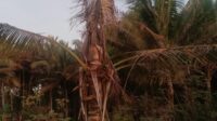 IMG-20250923-WA0015