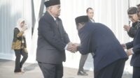 share_-1367027545
