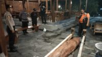 IMG-20251019-WA0029