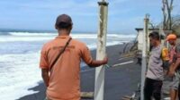 IMG-20251107-WA0023 (1)