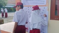 IMG-20260116-WA0013 (1)