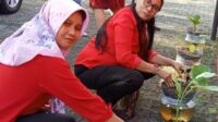 IMG-20260422-WA0017 (1)