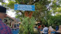 WhatsApp Image 2026-05-19 at 17.12.12