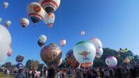 IMG-20260809-WA0026