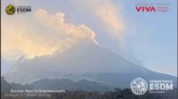 IMG_20260811_123352_924