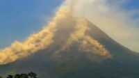 IMG_20260826_003032_650