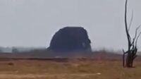 oro-oro-kesongo-blora-1786106075716_169